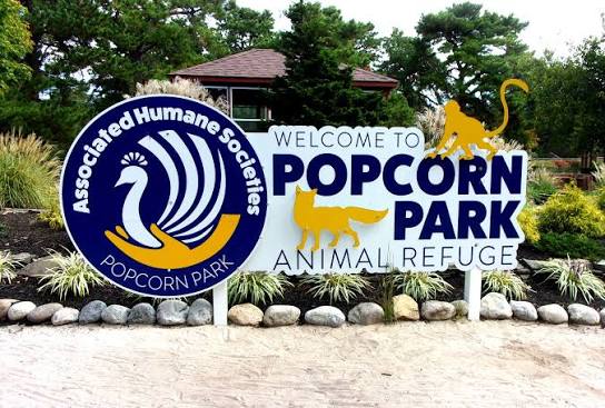 Popcorn Animal Refuge