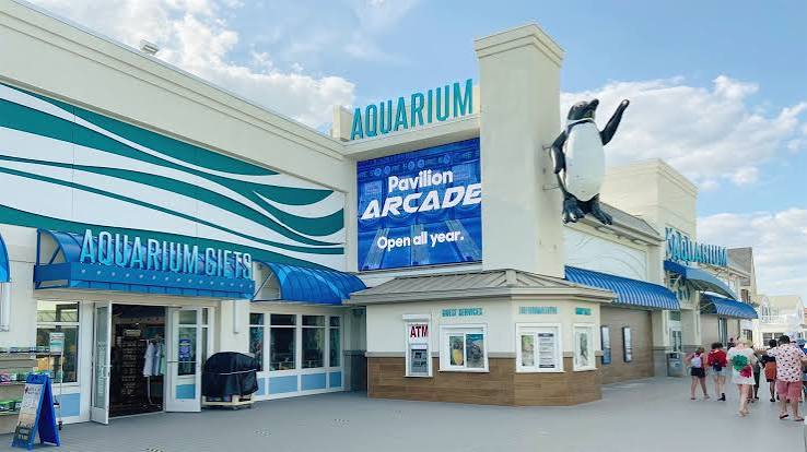 Jenkinson's Aquarium